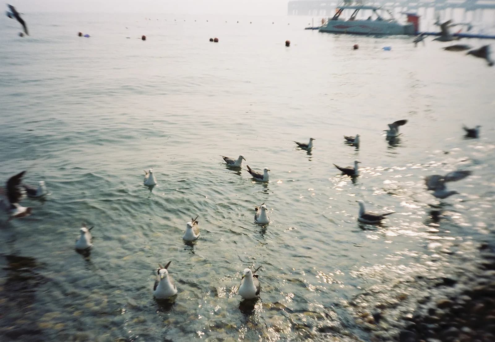 Film photograph shot on Kodak Vision3 250D with an Olympus Mju-I by CJ Liu