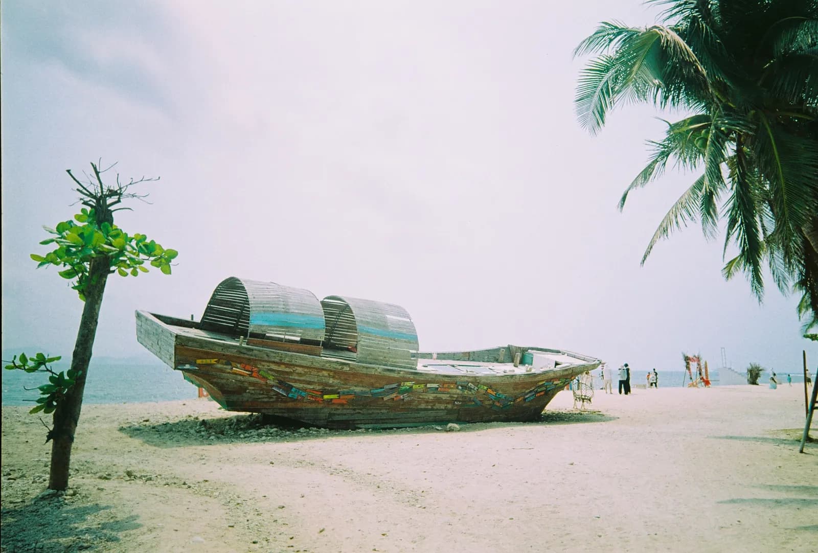 Film photograph shot on Lucky Color C200 with a Kodak Snapic A1 by Zigao Wang