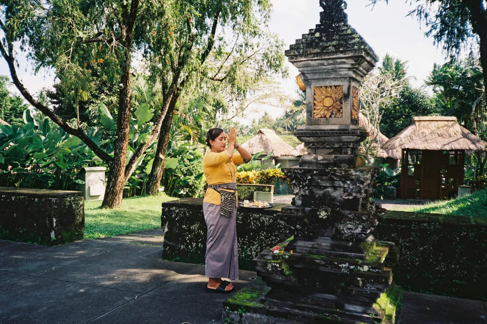 Film photograph shot on Kodak UltraMax 400 with a Canon Autoboy FXL by Febe Mo