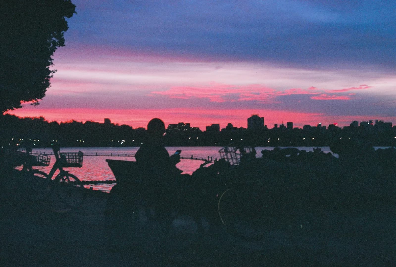 Film photograph shot on Fujifilm Superia Premium 400 with a Canon AE-1 Program by Zigao Wang