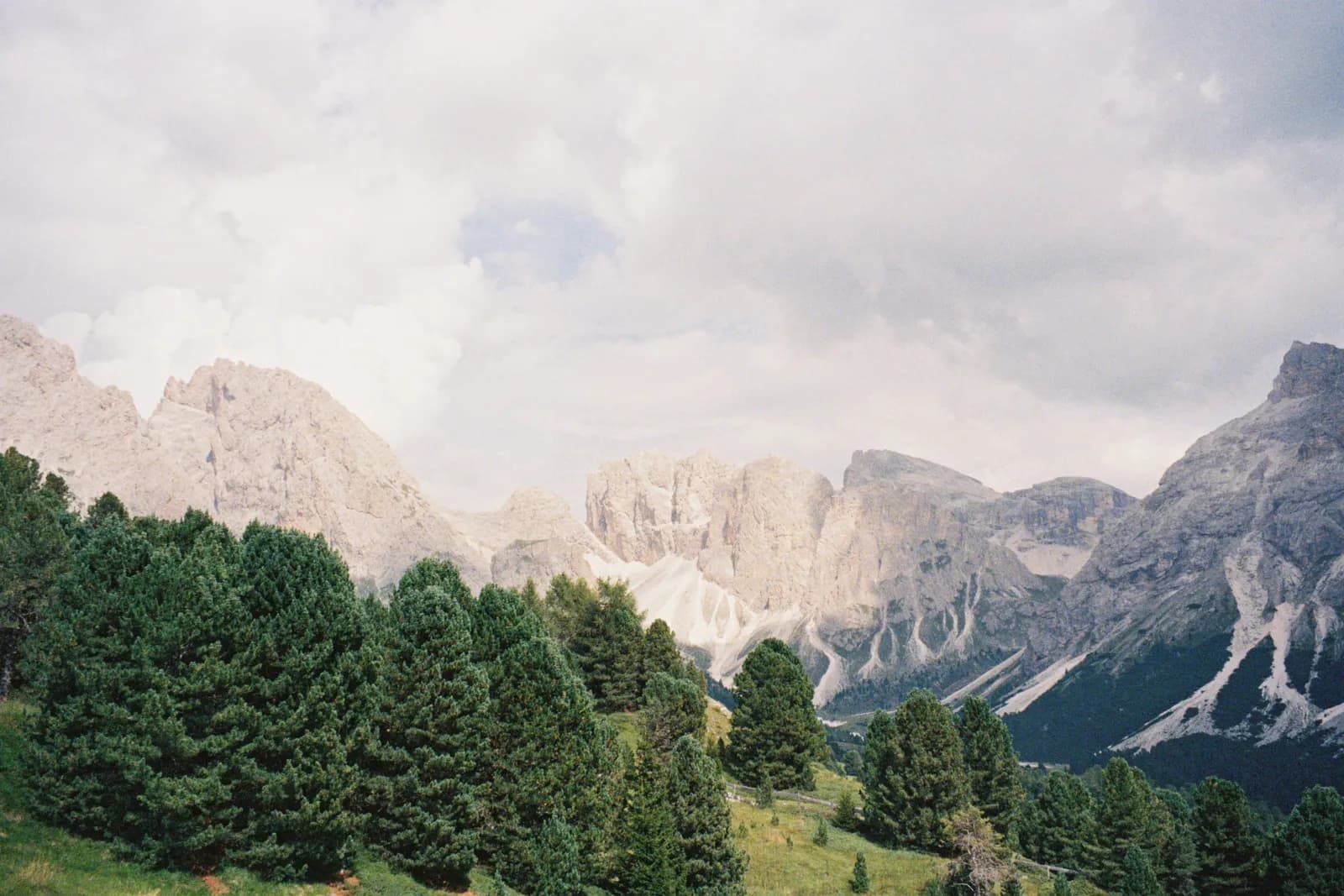 Film photograph shot on Fujifilm 400 with a Canon Autoboy S by hilla