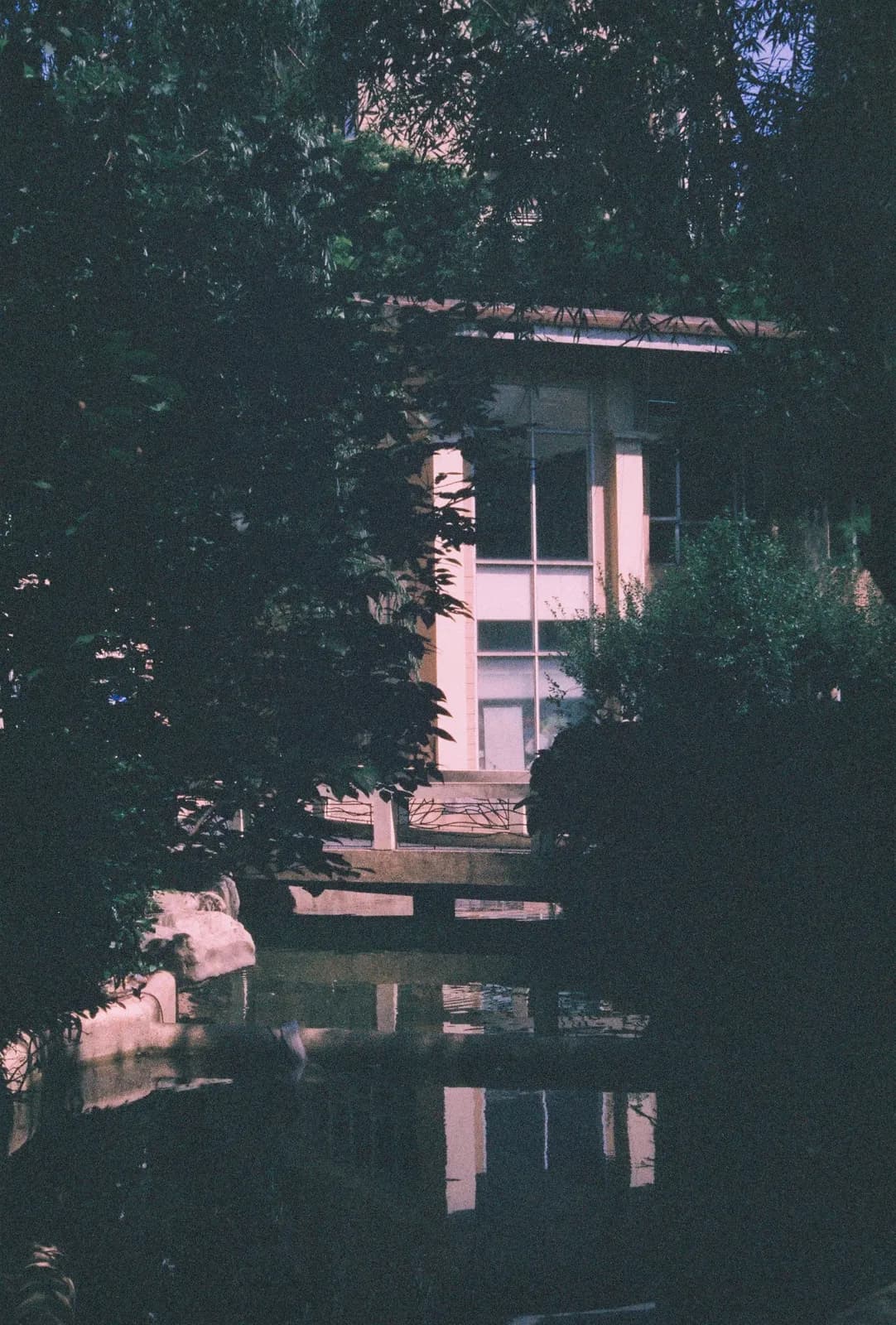 Film photograph shot on Harman Phoenix II 200 with a Canon AE-1 Program by Zigao Wang
