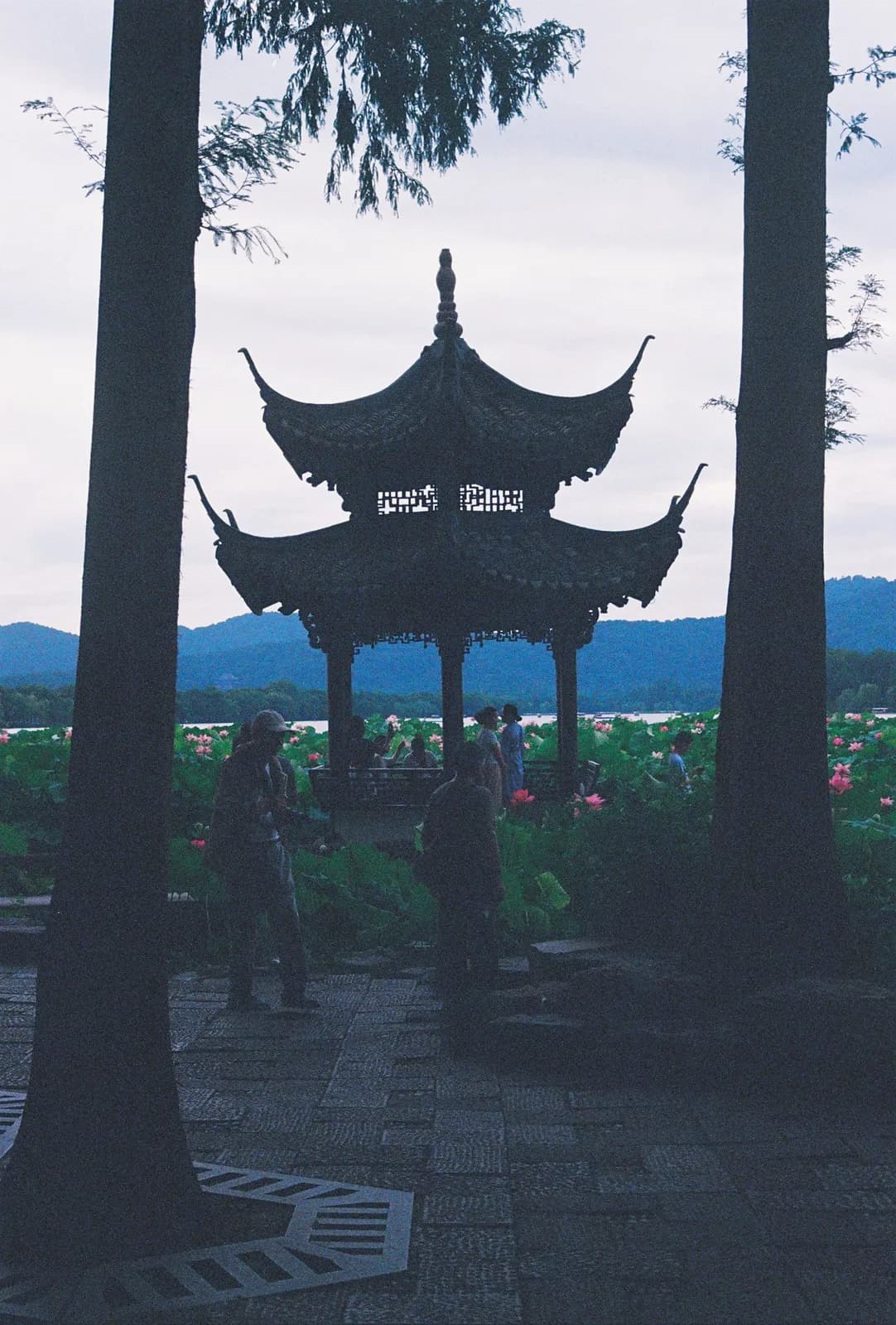 Film photograph shot on Kodak UltraMax 400 with a Canon AE-1 Program by Zigao Wang