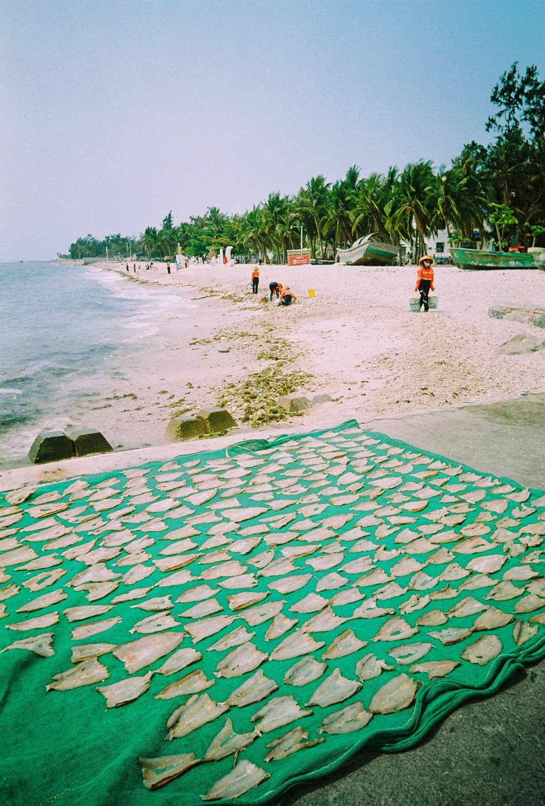 Film photograph shot on Lucky Color C200 with a Kodak Snapic A1 by Zigao Wang