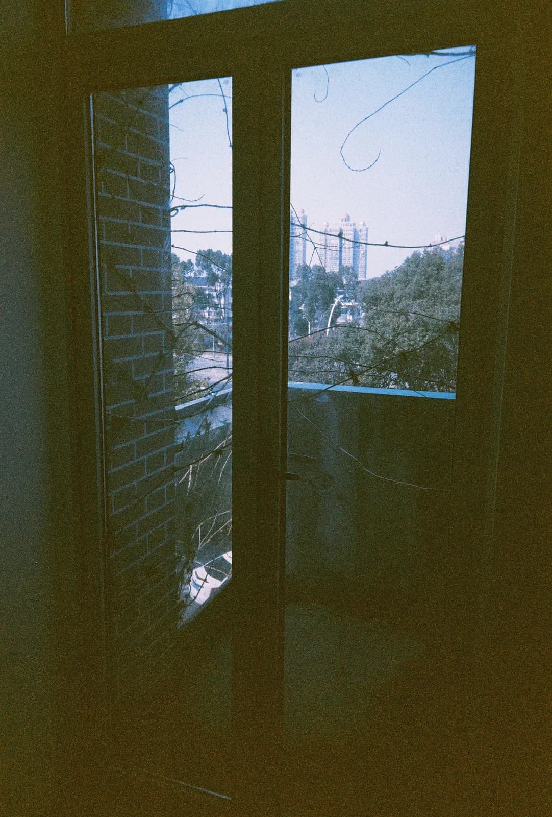 Film photograph shot on Orwo Wolfen NC400 with a Kodak Snapic A1 by Zigao Wang