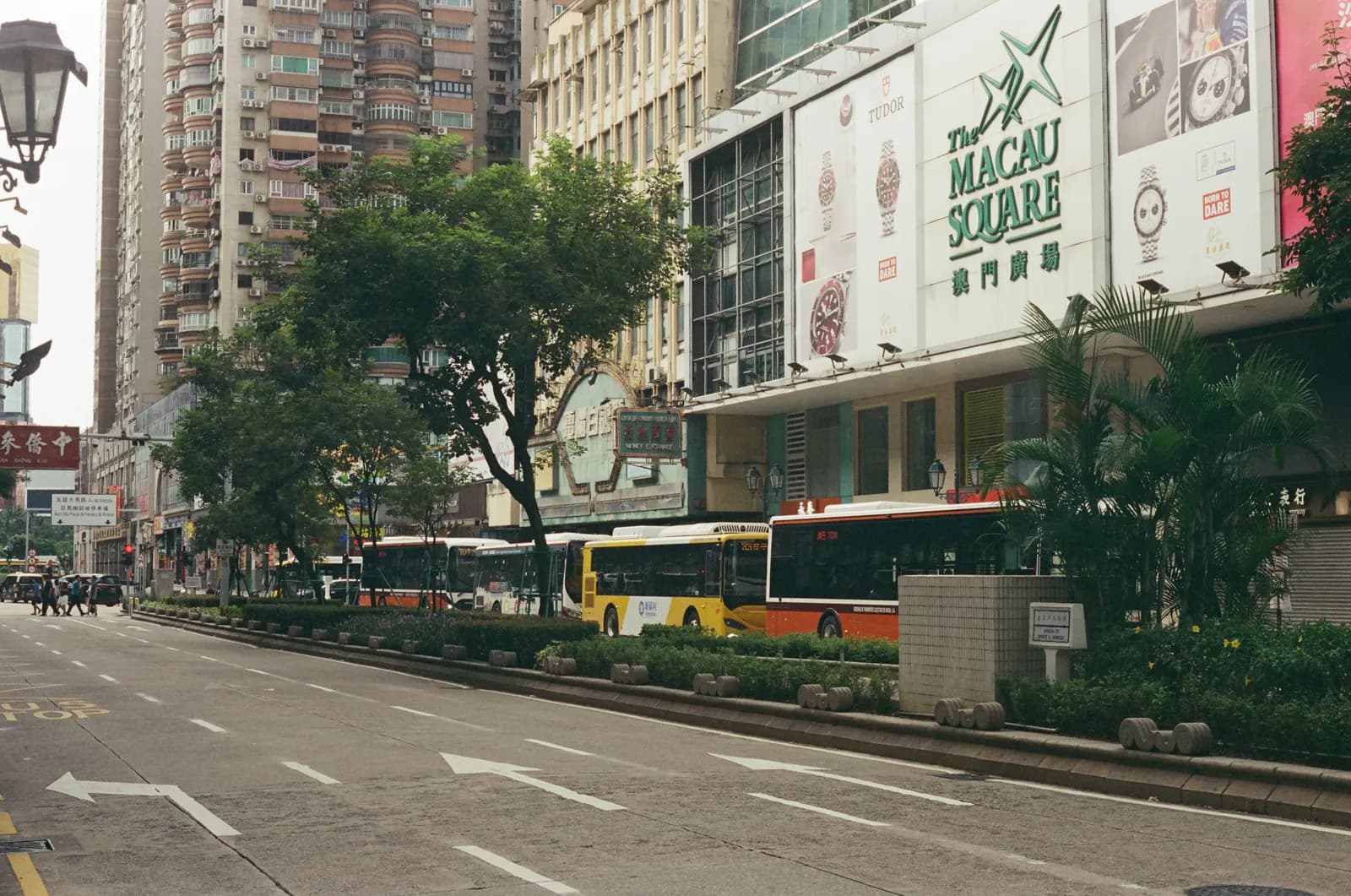 Film photograph shot on Kodak Vision3 250D with a Canon AE-1 Program by Zigao Wang