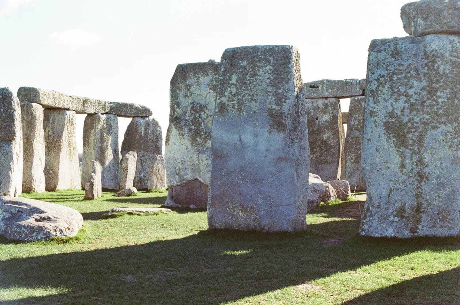 Film photograph