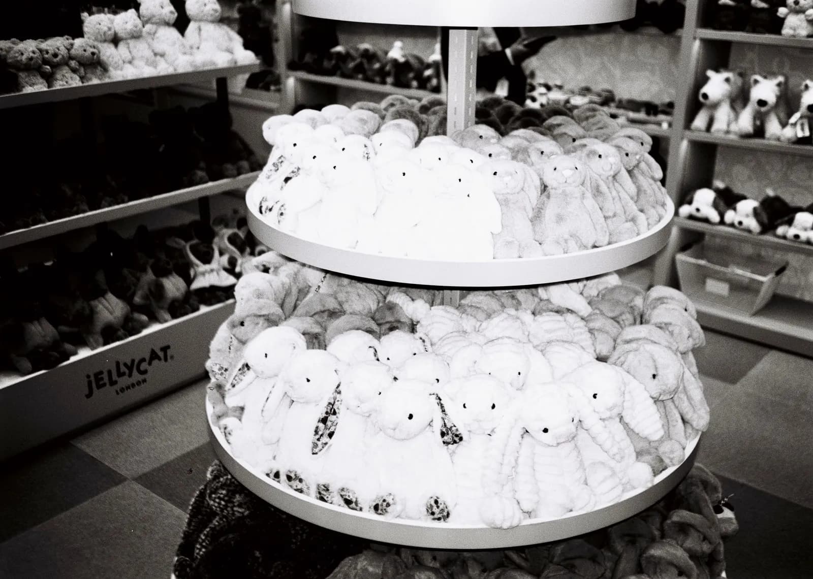 Film photograph