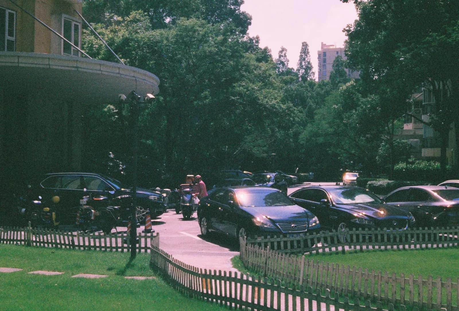 Film photograph shot on Harman Phoenix II 200 with a Canon AE-1 Program by Zigao Wang