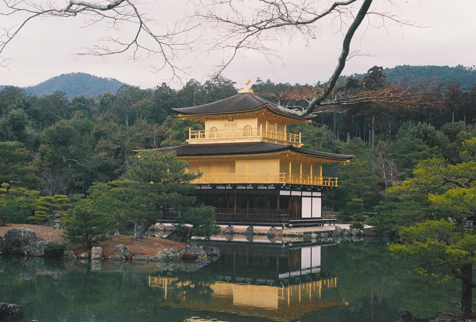 Film photograph shot on Lomography Color Negative 400 with a Canon AE-1 Program by Zigao Wang