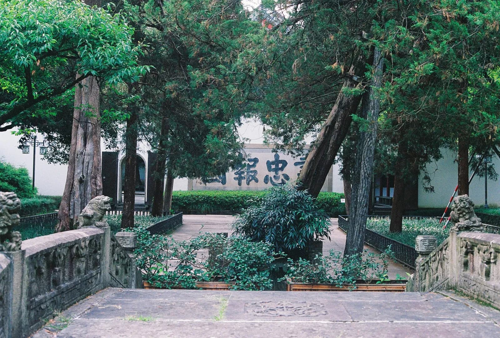 Film photograph shot on Kodak UltraMax 400 with a Canon AE-1 Program by Zigao Wang
