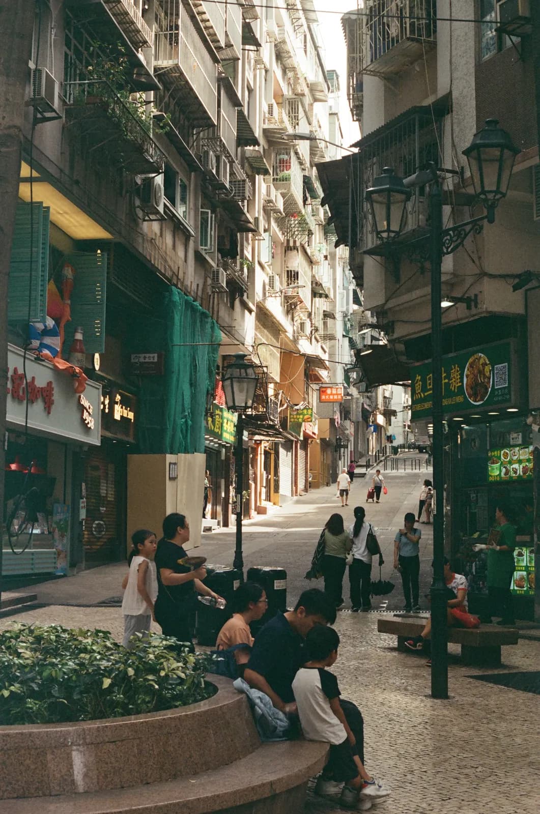 Film photograph shot on Kodak Vision3 250D with a Canon AE-1 Program by Zigao Wang