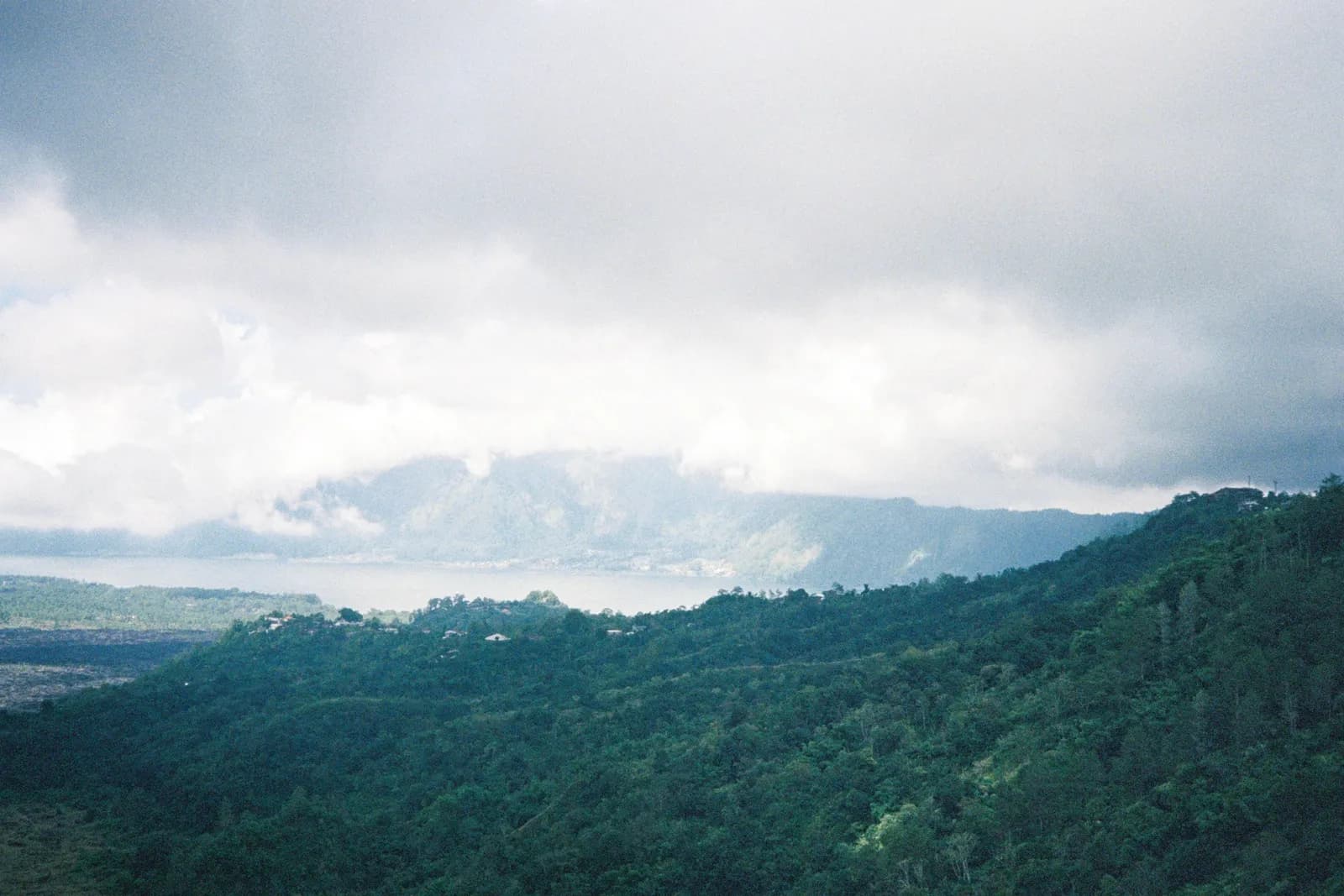 Film photograph shot on Kodak UltraMax 400 with a Canon Autoboy FXL by Febe Mo