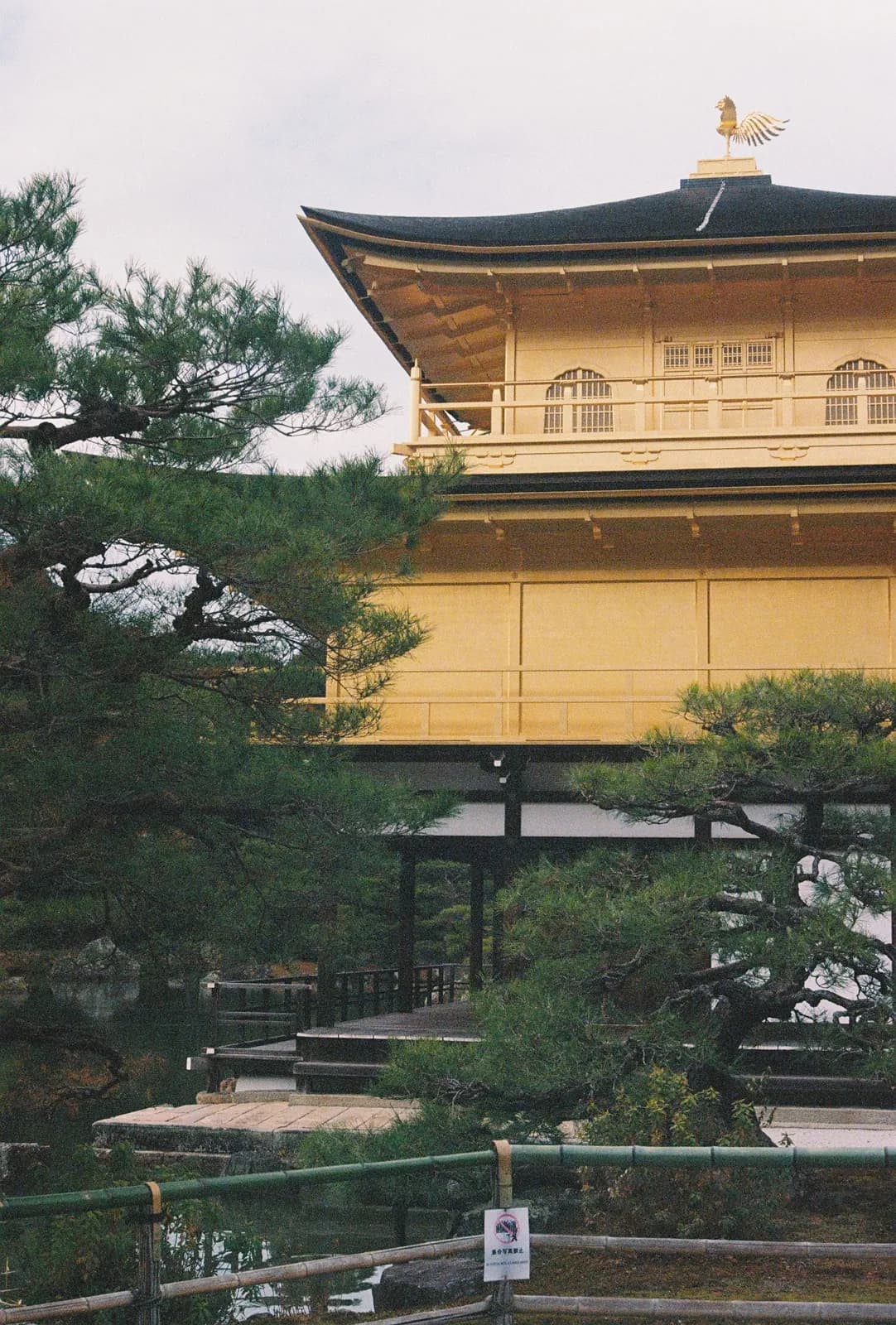 Film photograph shot on Lomography Color Negative 400 with a Canon AE-1 Program by Zigao Wang