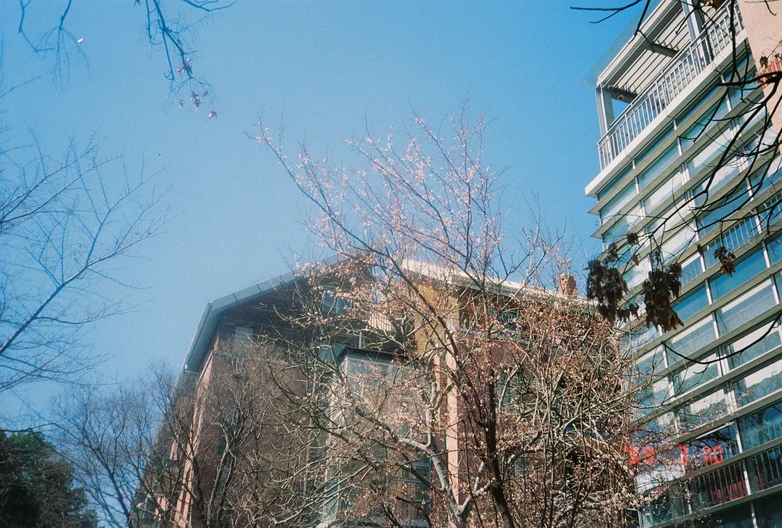 Film photograph