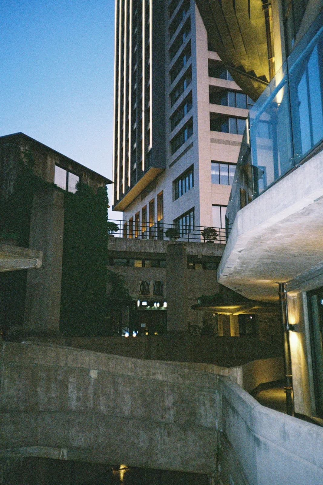 Film photograph shot on Kodak UltraMax 400 with a Canon Autoboy FXL by Febe Mo