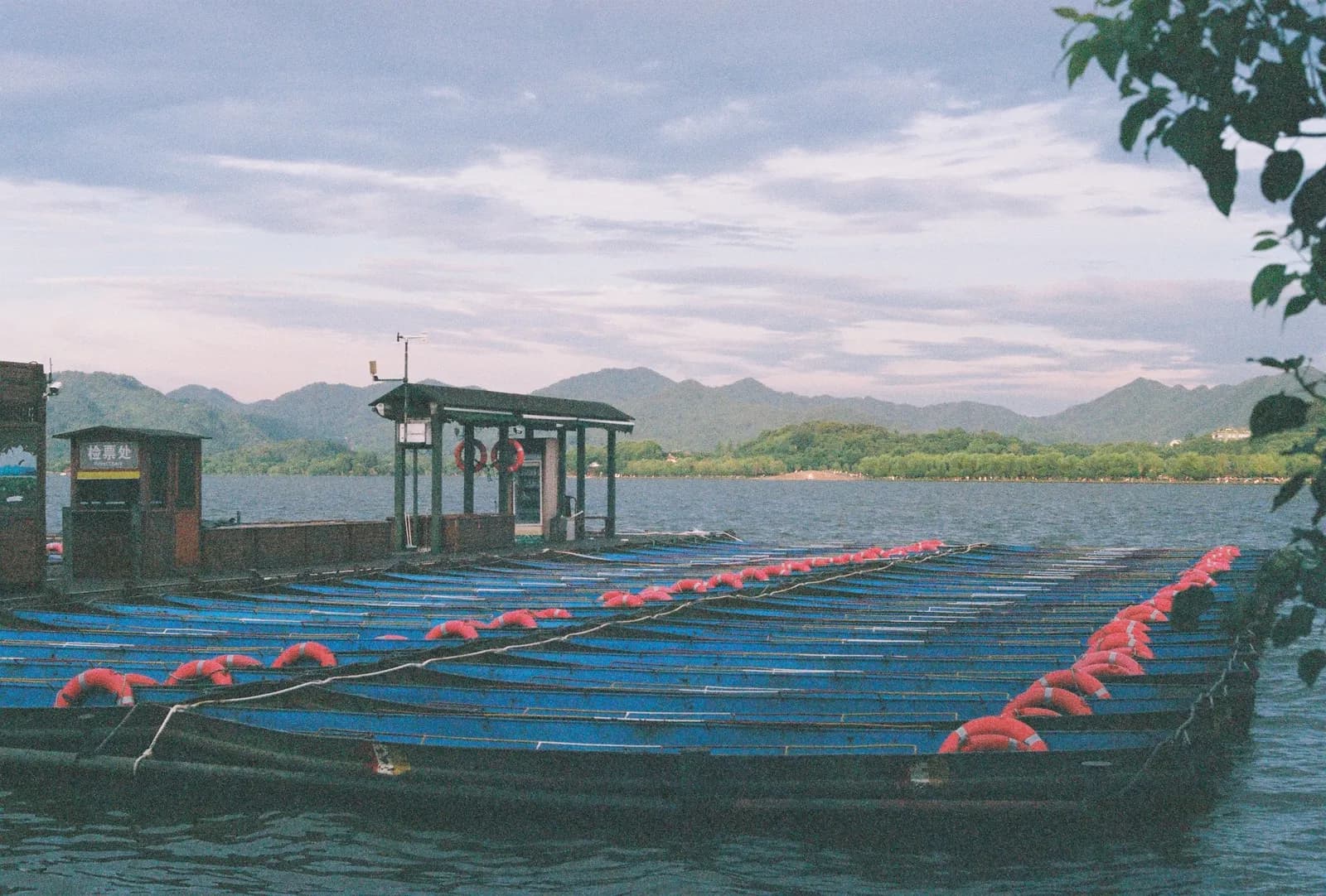 Film photograph shot on Fujifilm Superia Premium 400 with a Canon AE-1 Program by Zigao Wang