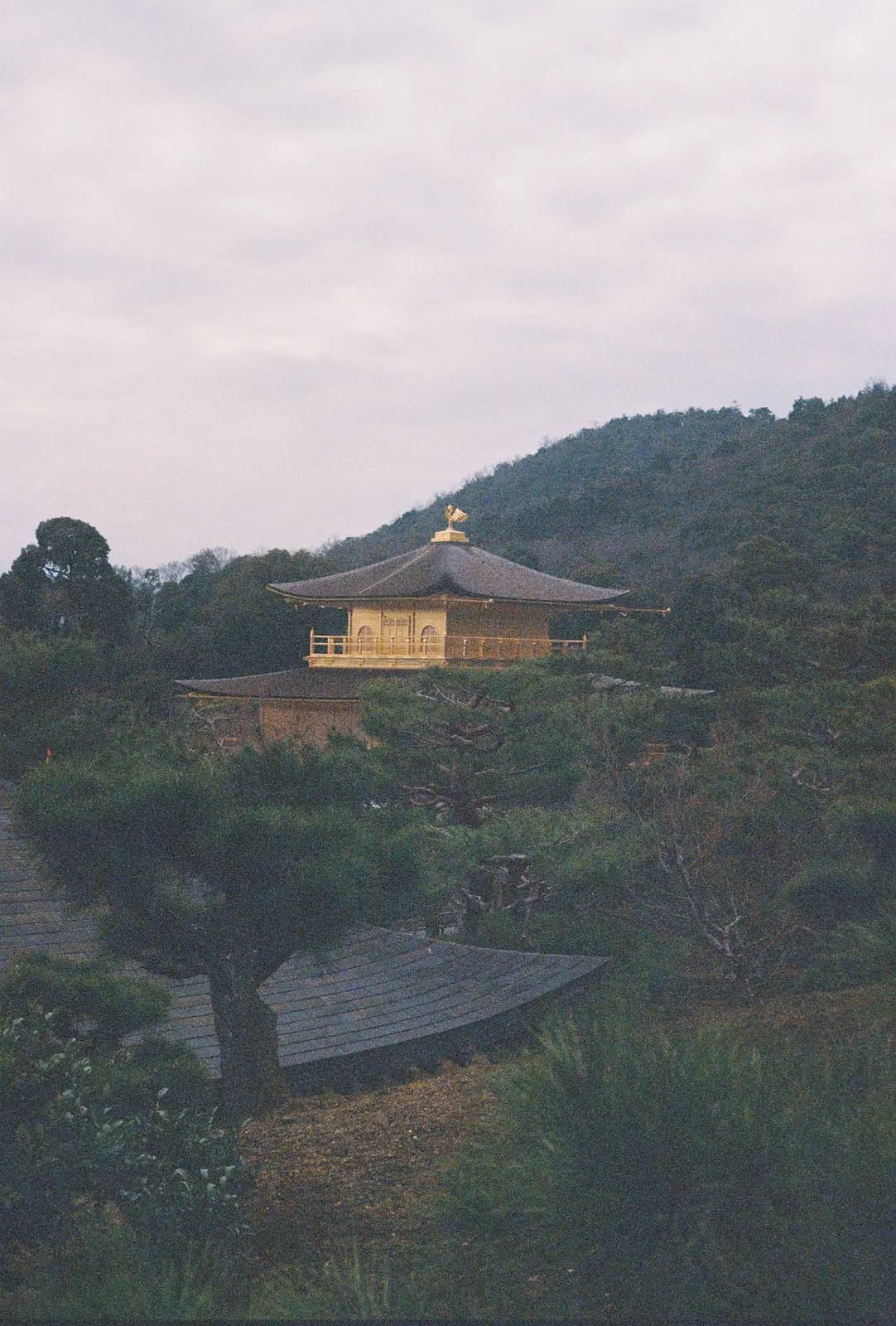 Film photograph shot on Lomography Color Negative 400 with a Canon AE-1 Program by Zigao Wang