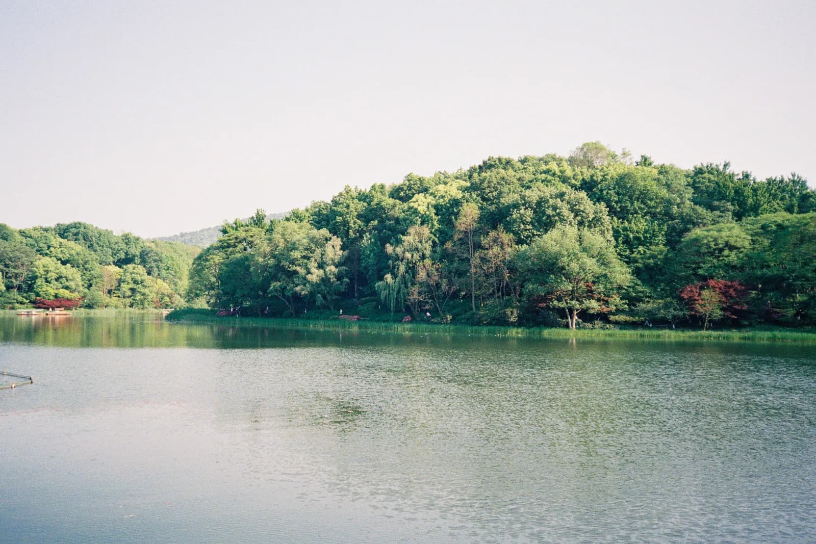 Film photograph shot on Kodak UltraMax 400 with a Canon Autoboy FXL by Febe Mo
