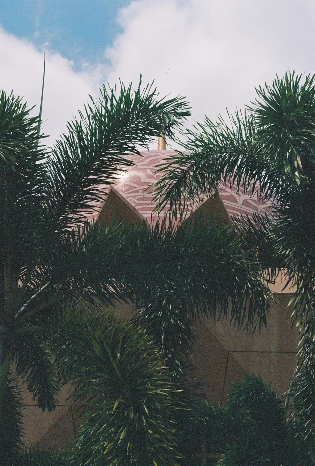 Film photograph shot on Lomography Color Negative 400 with a Kodak Snapic A1 by Zigao Wang