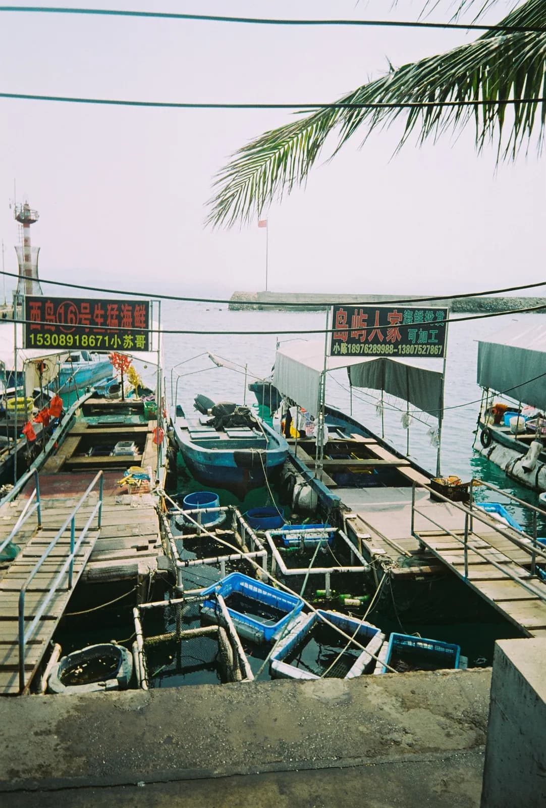 Film photograph shot on Lucky Color C200 with a Kodak Snapic A1 by Zigao Wang