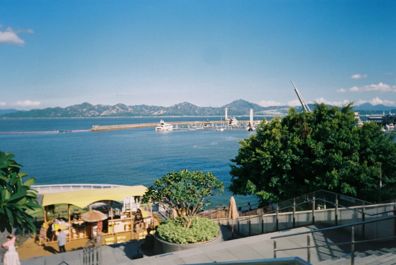 Film photograph shot on Kodak Gold 200 with a Konica K-mini by Barry Shawn