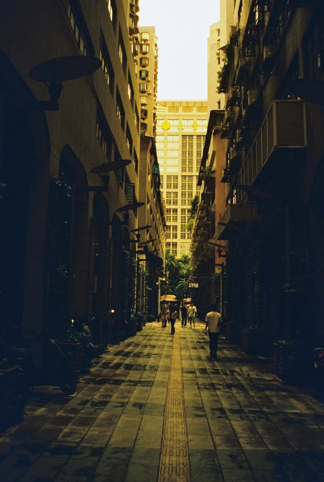 Film photograph shot on Lucky Color 400 with an Olympus Trip Panorama 2 by Zigao Wang