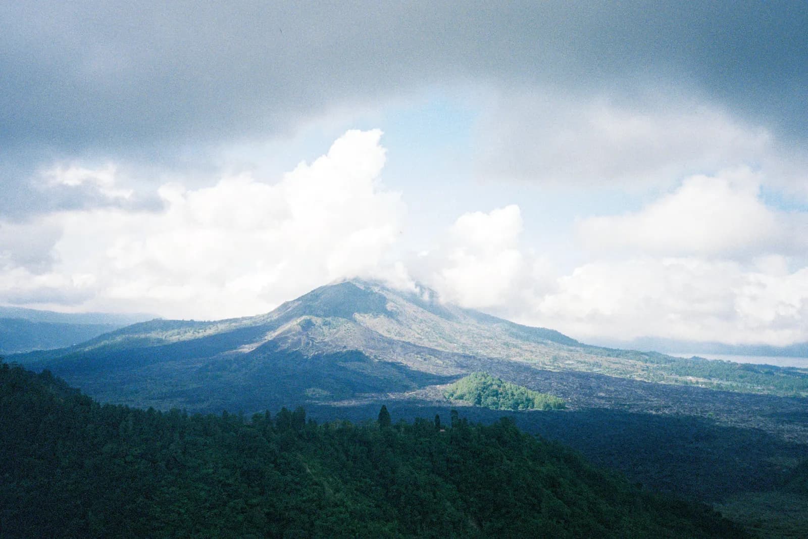 Film photograph shot on Kodak UltraMax 400 with a Canon Autoboy FXL by Febe Mo