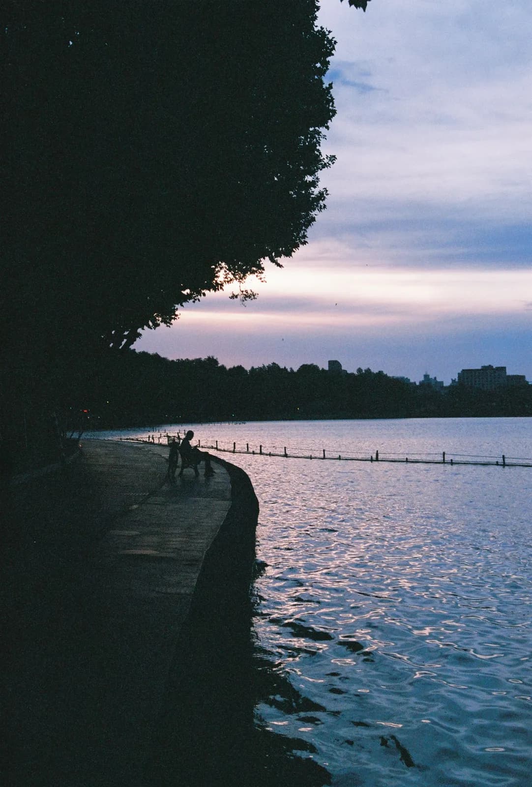 Film photograph shot on Fujifilm Superia Premium 400 with a Canon AE-1 Program by Zigao Wang