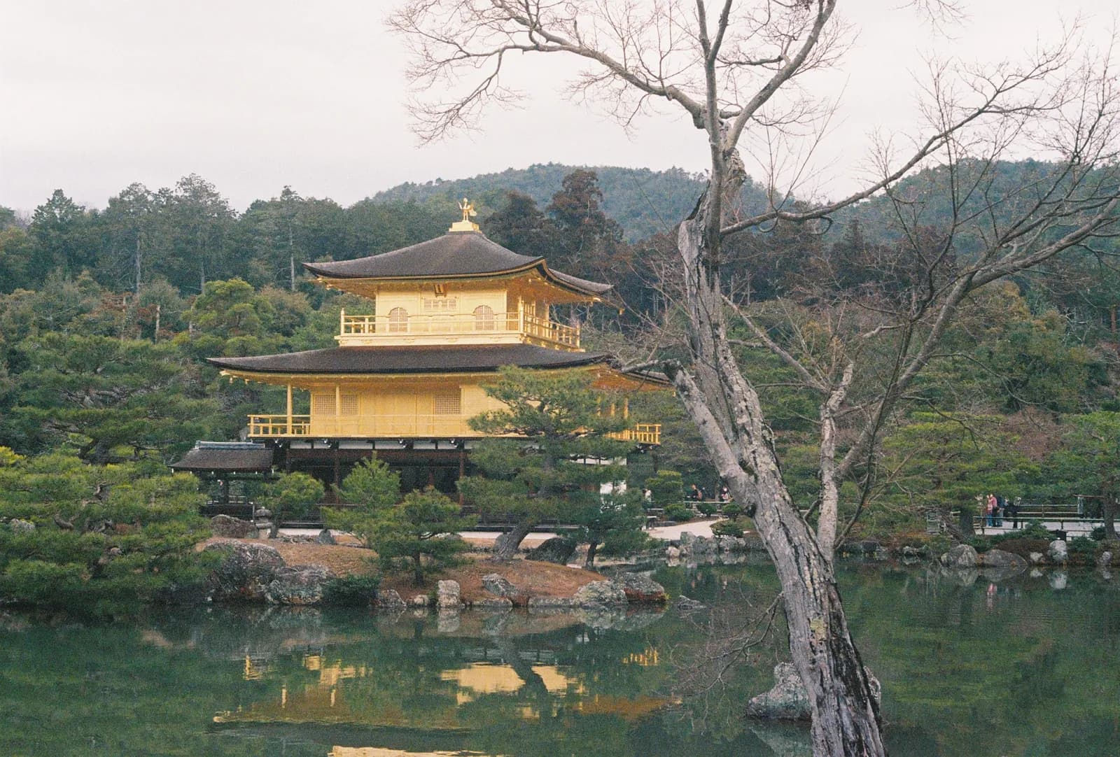 Film photograph shot on Lomography Color Negative 400 with a Canon AE-1 Program by Zigao Wang