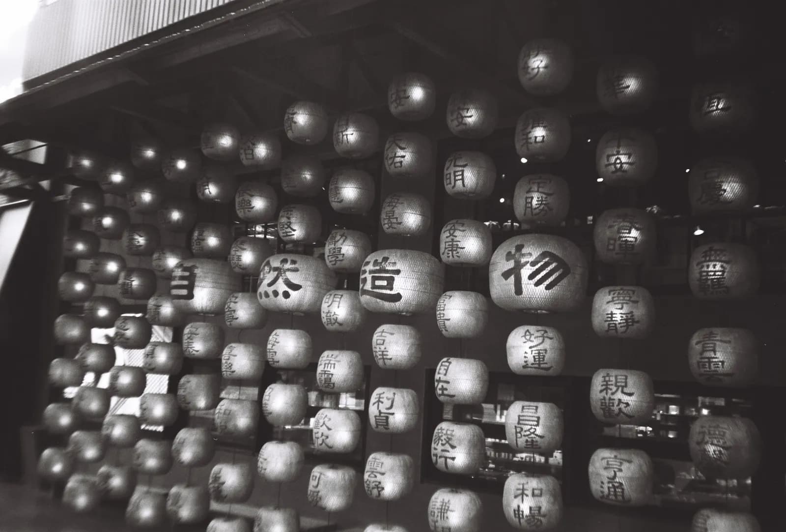 Film photograph