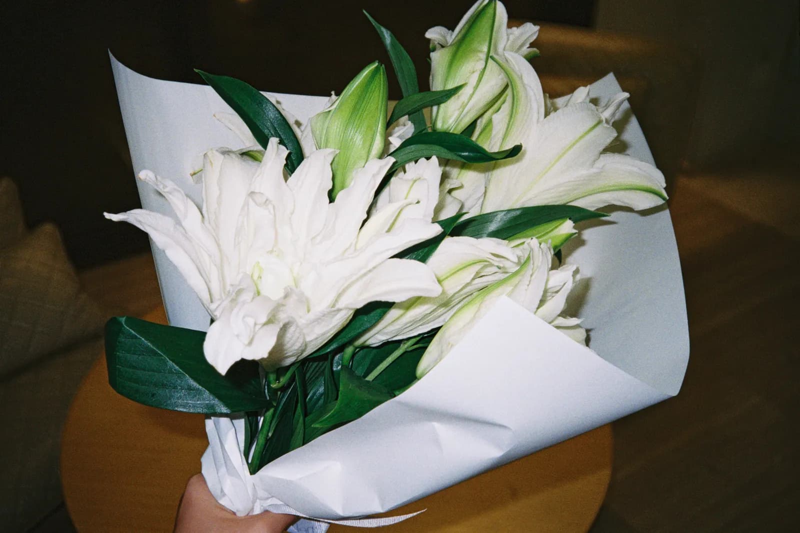 Film photograph shot on Kodak UltraMax 400 with a Canon Autoboy FXL by Febe Mo
