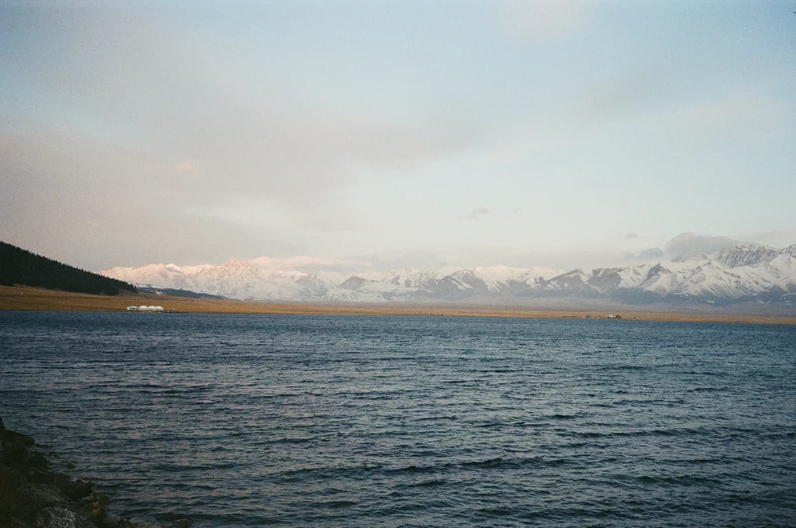 Film photograph shot on Kodak Gold 200 with an Olympus AF-1 by lyu