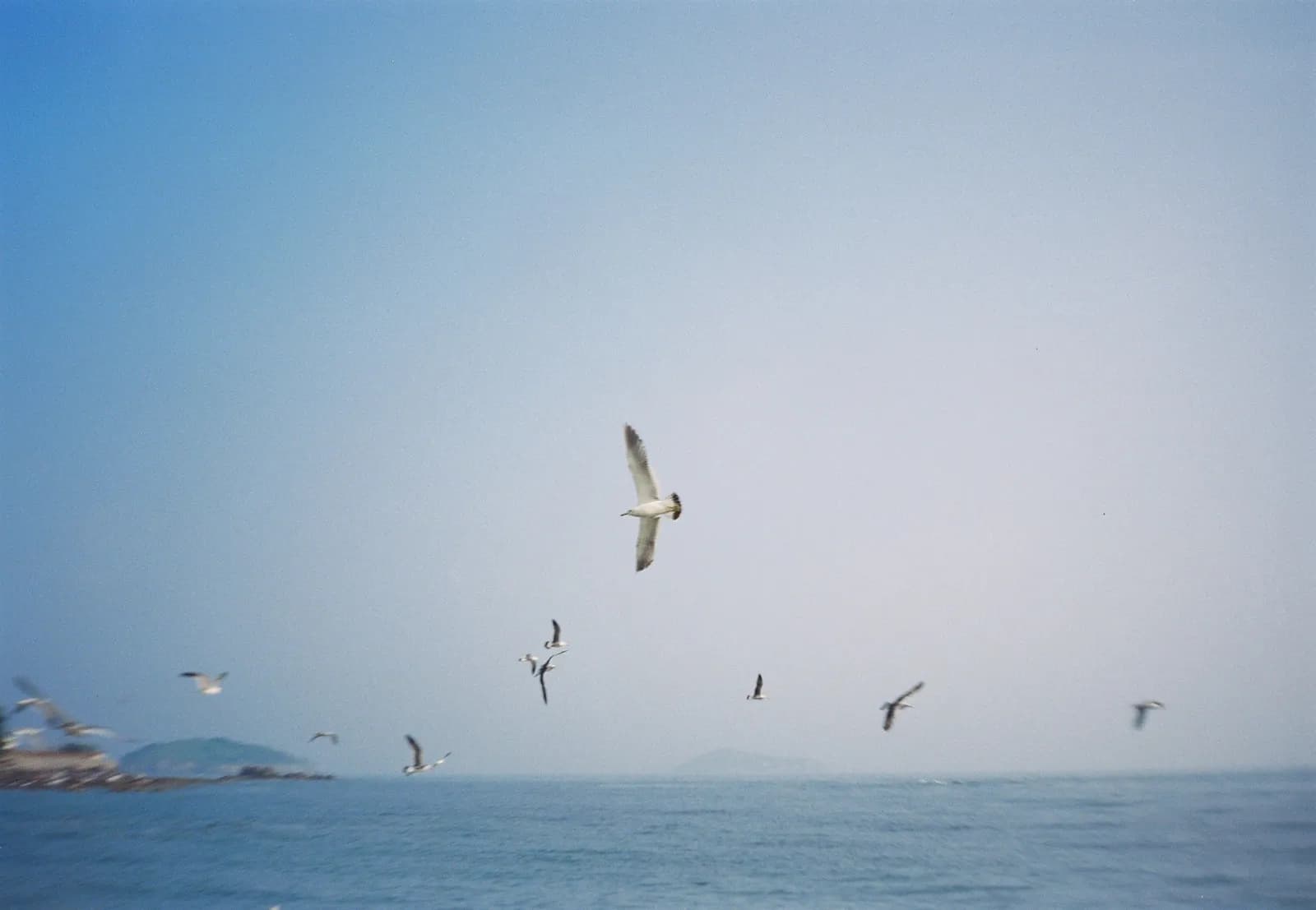 Film photograph shot on Kodak Vision3 250D with an Olympus Mju-I by CJ Liu