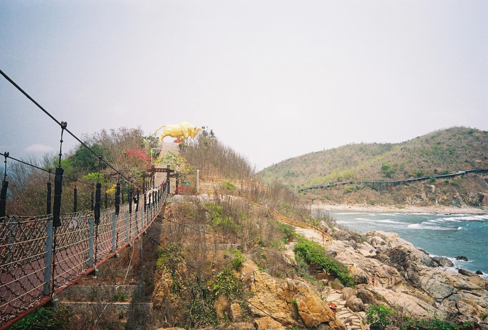 Film photograph shot on Lomography Color Negative 400 with a Kodak Snapic A1 by Zigao Wang