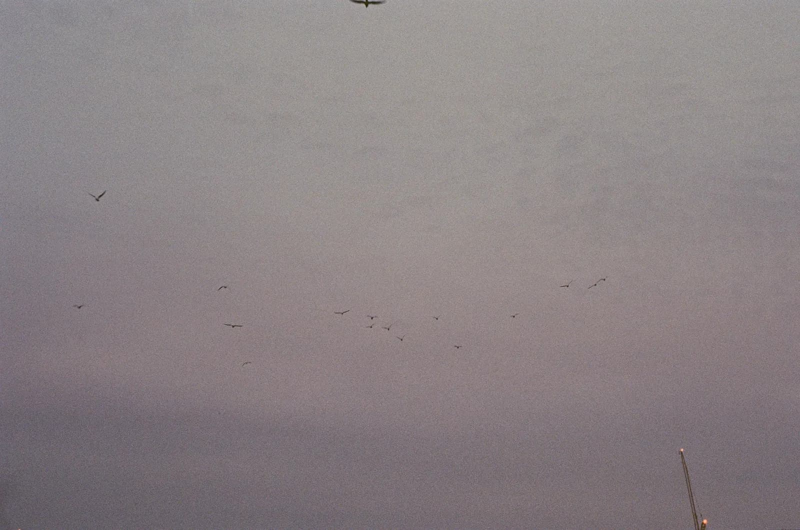London Trip — film photograph shot on Kodak Gold 200 with a Canon AE-1 Program by Casper Lee
