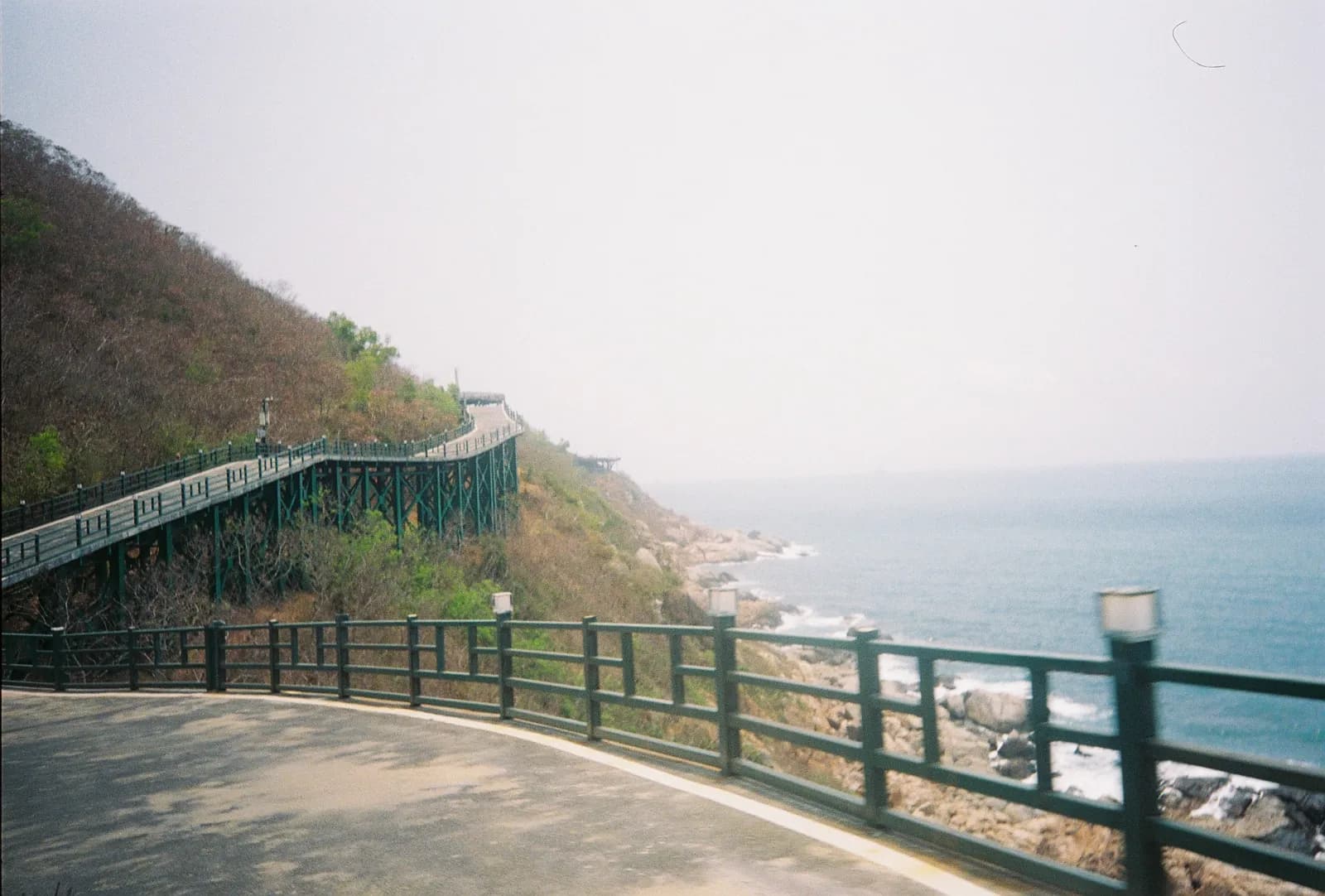 Film photograph