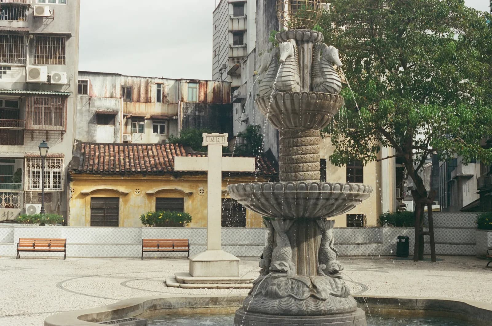 Film photograph shot on Kodak Vision3 250D with a Canon AE-1 Program by Zigao Wang