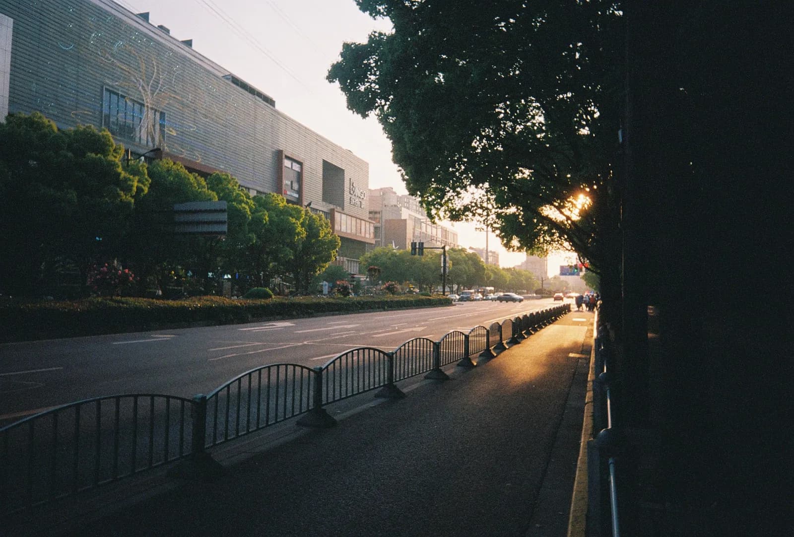 Film photograph shot on Lomography Color Negative 400 with a Kodak Snapic A1 by Zigao Wang