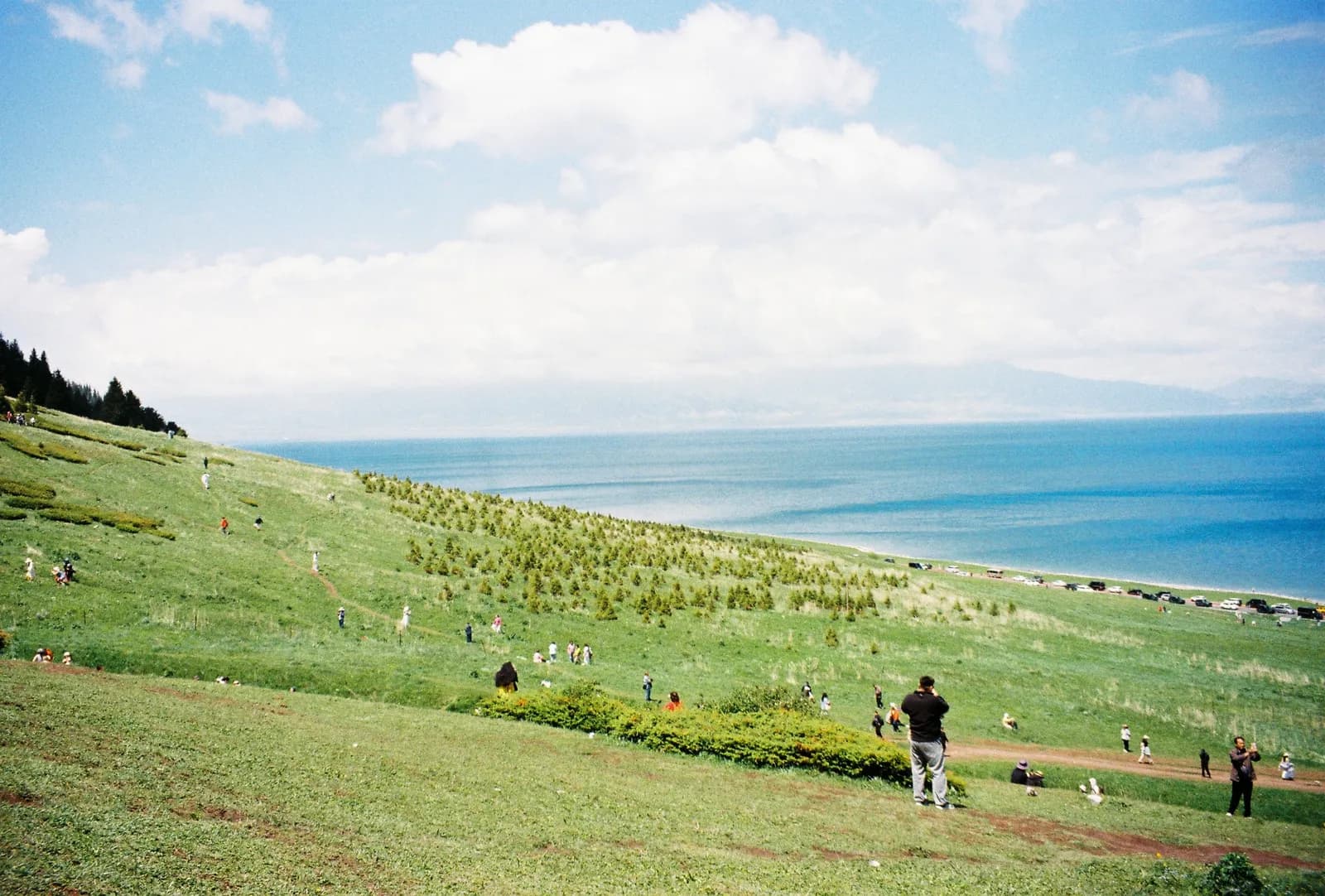 roro二零二六的夏, film photograph shot on Kodak Gold 200 with a Canon Autoboy S2 by roro