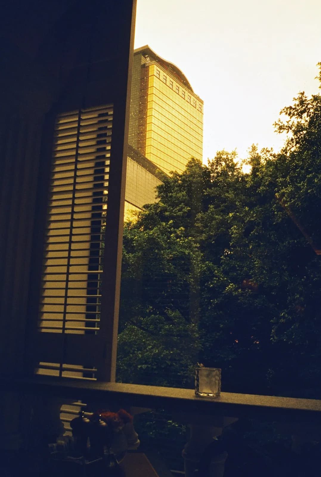Film photograph shot on Lucky Color 400 with an Olympus Trip Panorama 2 by Zigao Wang