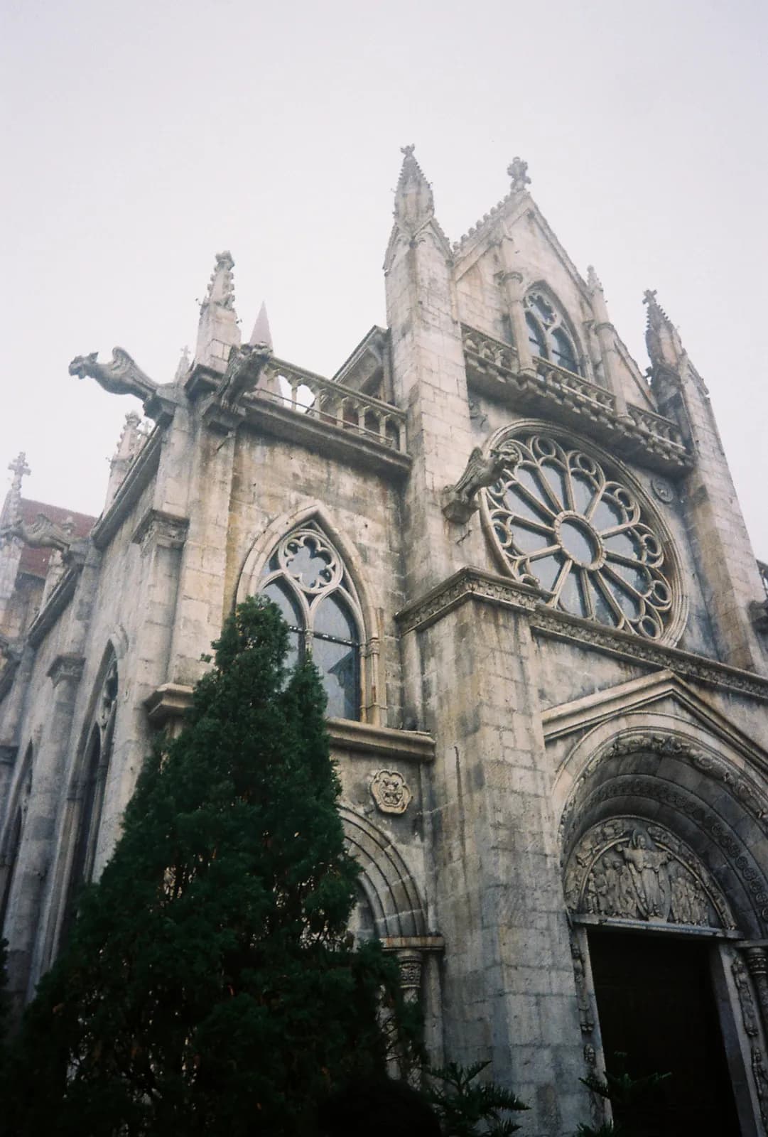 Film photograph