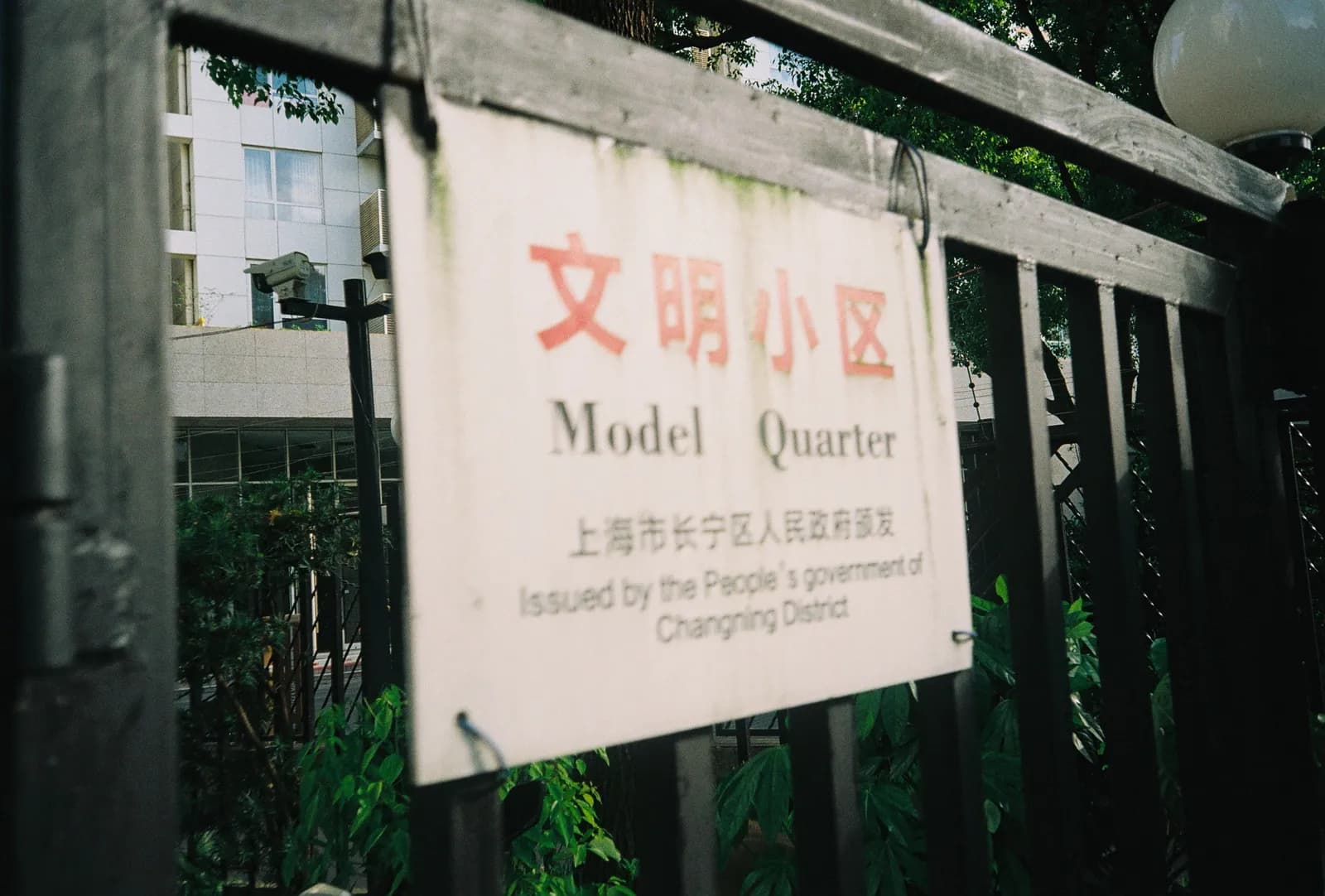 Film photograph shot on Kodak Gold 200 with an Olympus Mju-I by CJ Liu