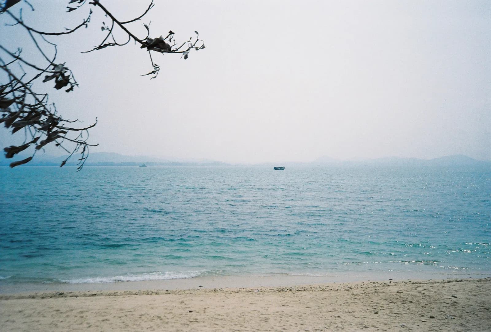Film photograph shot on Kodak Gold 200 with an Olympus Mju-I by CJ Liu