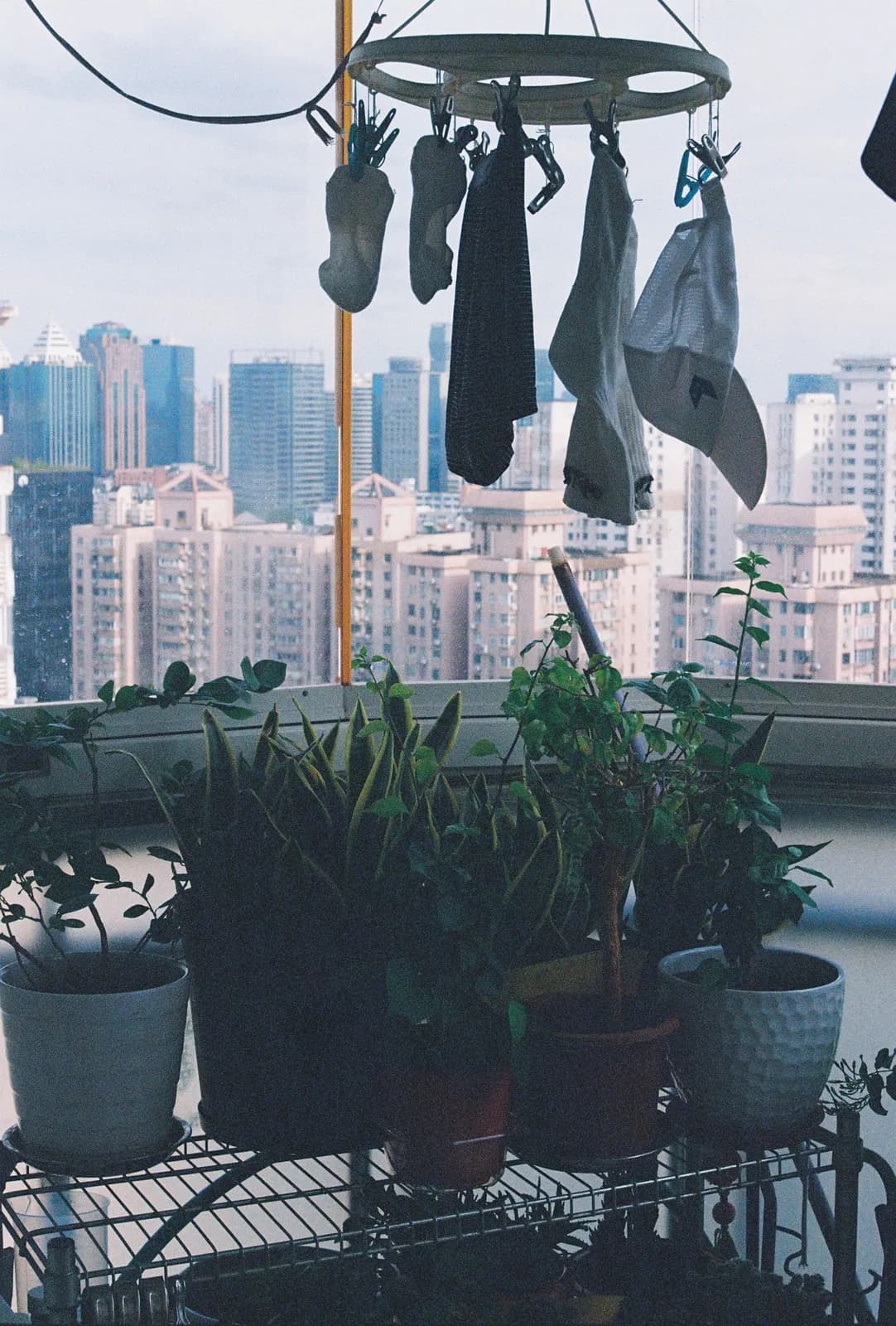 Film photograph shot on Kodak UltraMax 400 with a Canon AE-1 Program by Zigao Wang