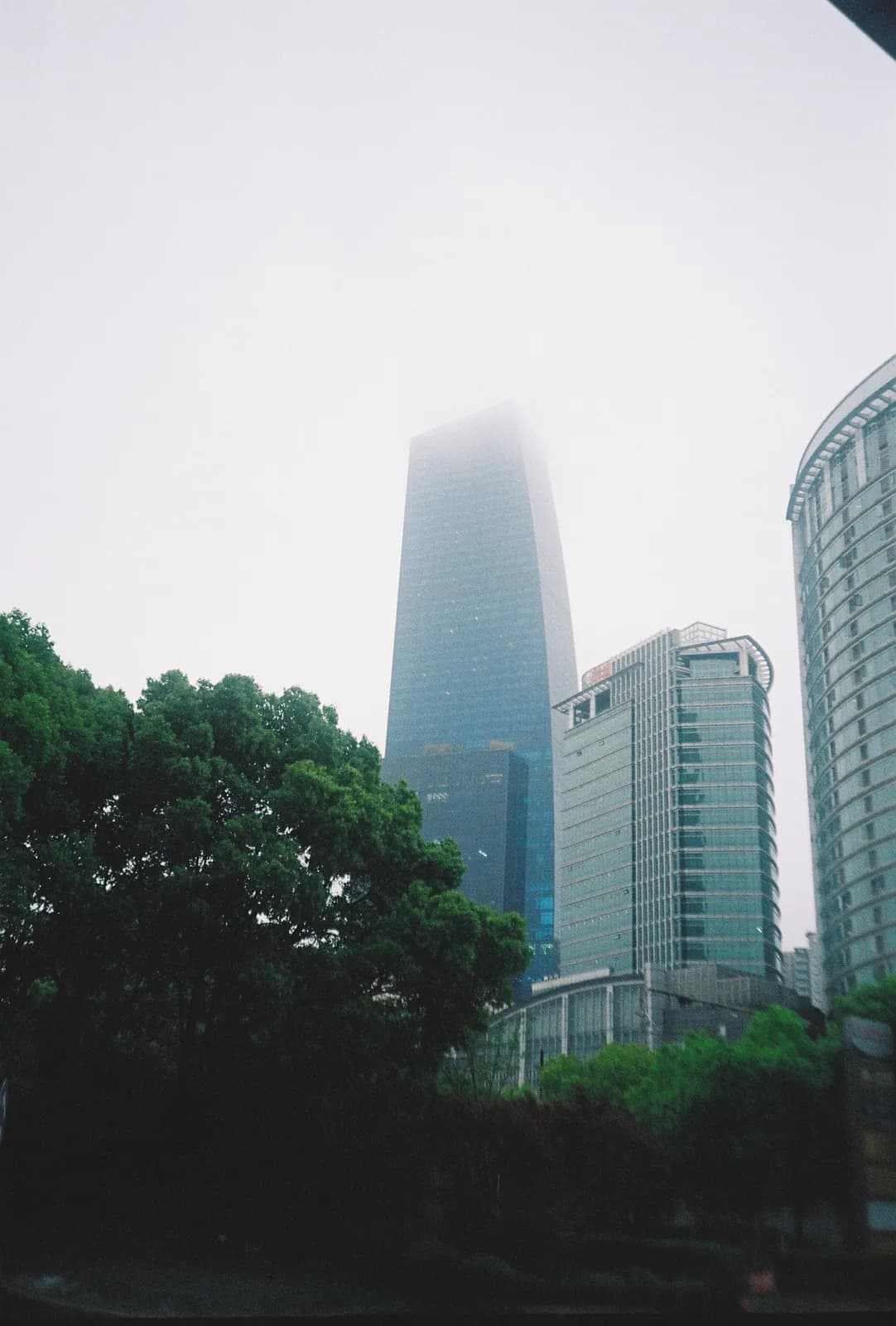 Film photograph shot on Kodak Gold 200 with an Olympus Mju-I by CJ Liu