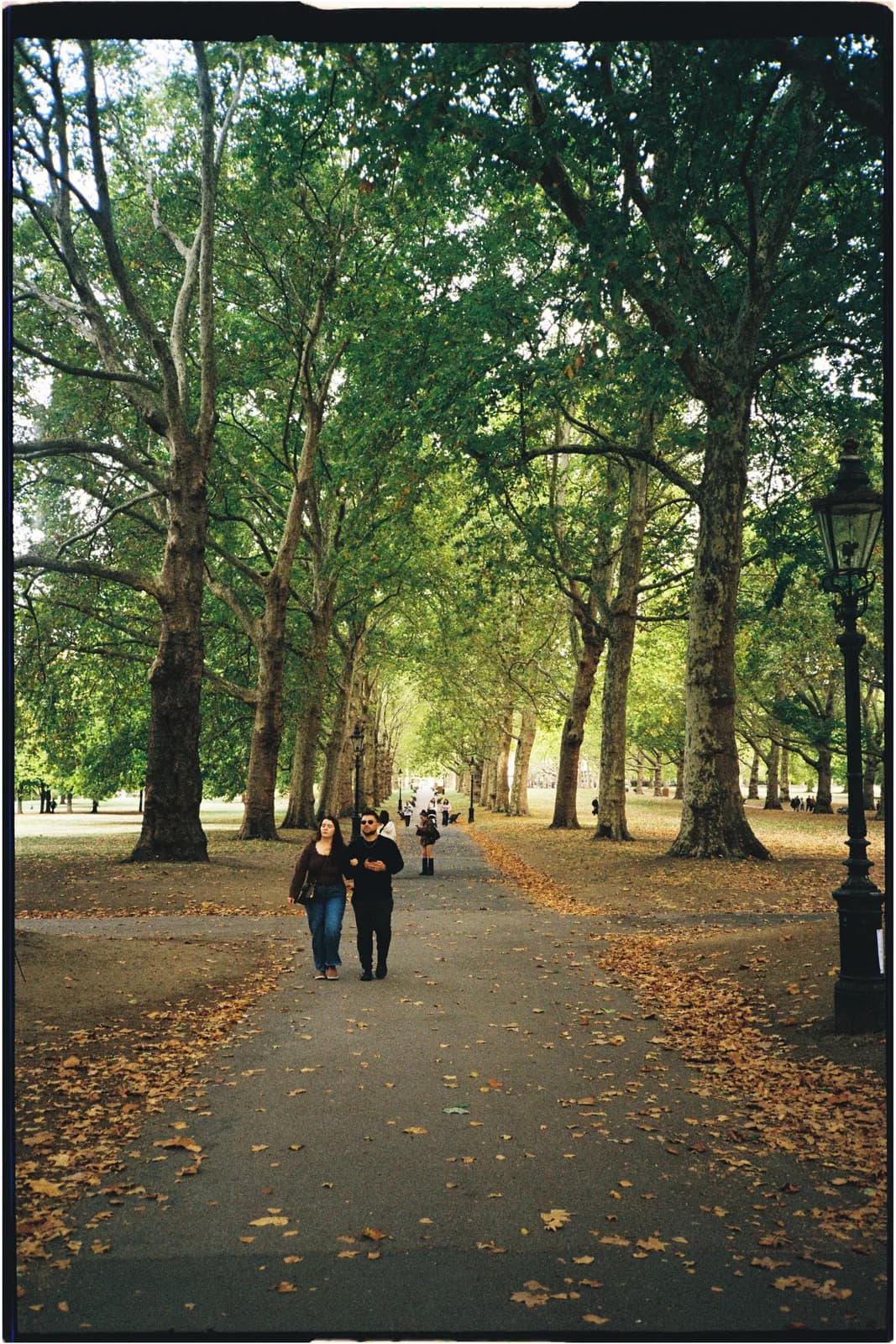Film photograph shot on Kodak UltraMax 400 with a Konica Big Mini BM-201 by Zigao Wang