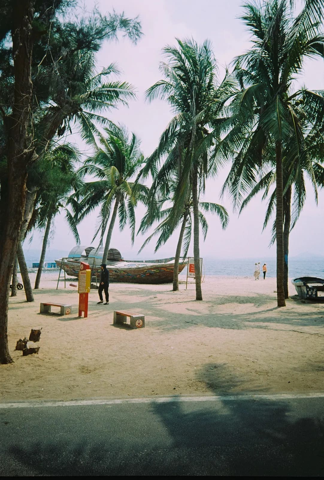 Film photograph shot on Lucky Color C200 with a Kodak Snapic A1 by Zigao Wang