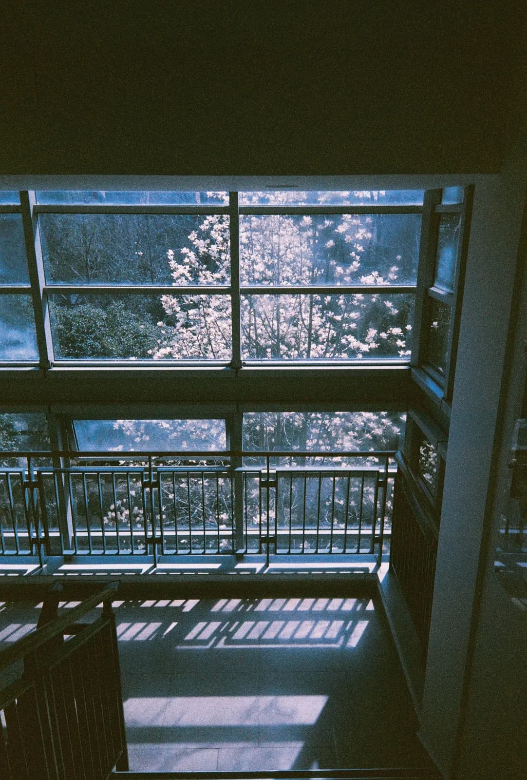 Film photograph