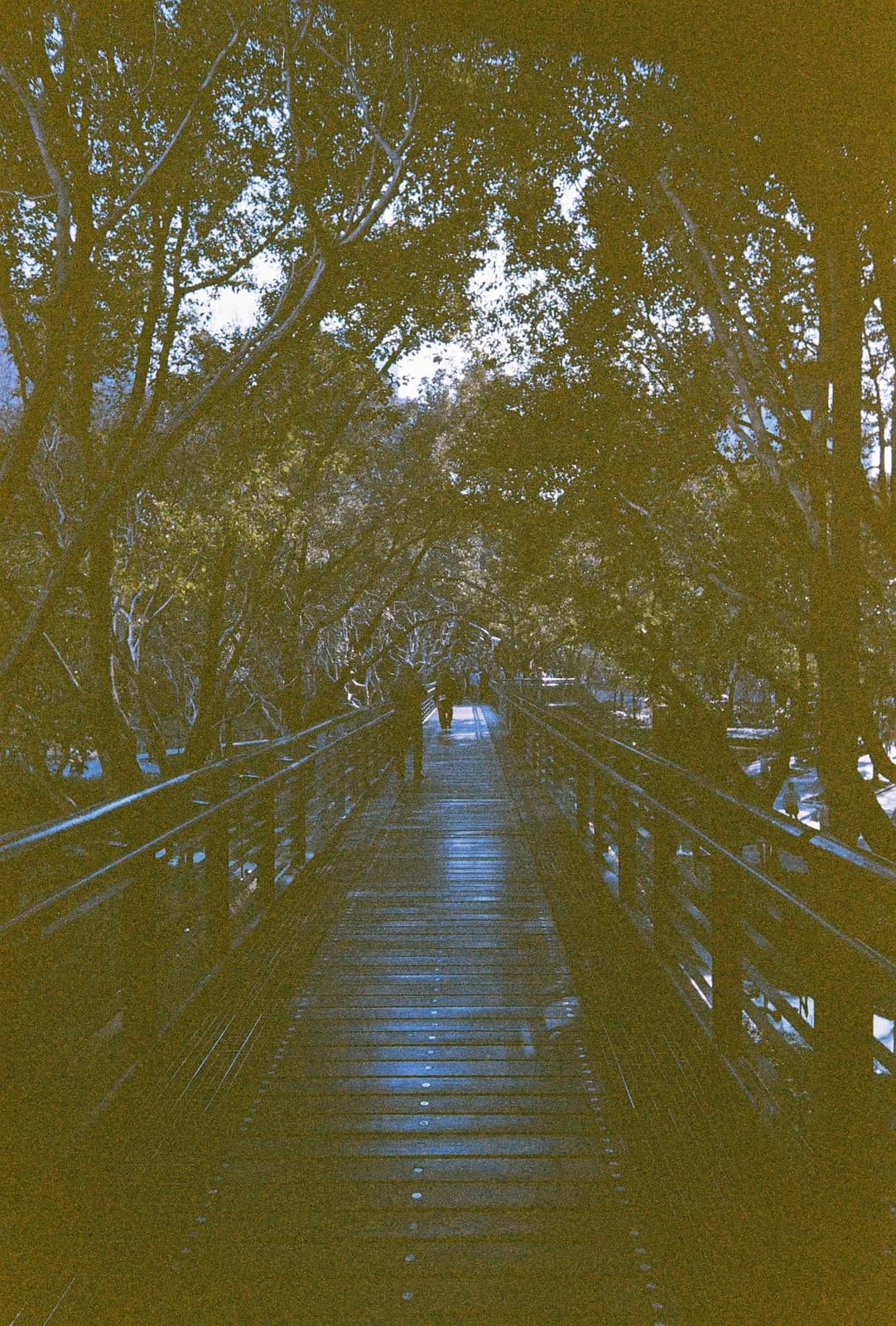 Film photograph shot on Orwo Wolfen NC400 with a Kodak Snapic A1 by Zigao Wang